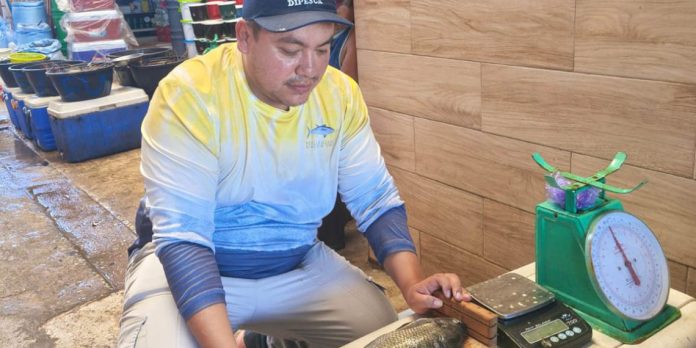 Técnicos de la DIPESCA y pescadores artesanales recolectando y clasificando especímenes durante el séptimo monitoreo pesquero.